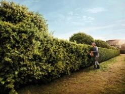 Stihl HS 82 Petrol Hedge Trimmer -Power Yard Zone 39183